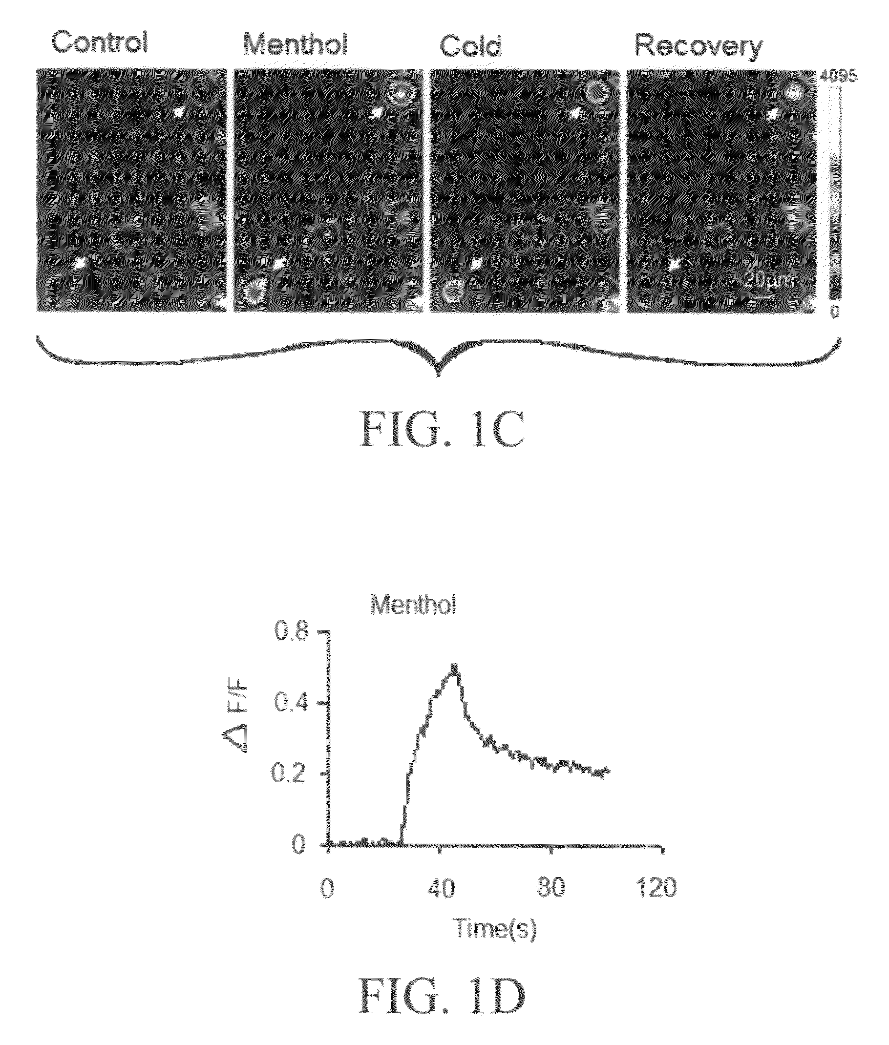 Methods and Systems for Treating Asthma and Other Respiratory Diseases