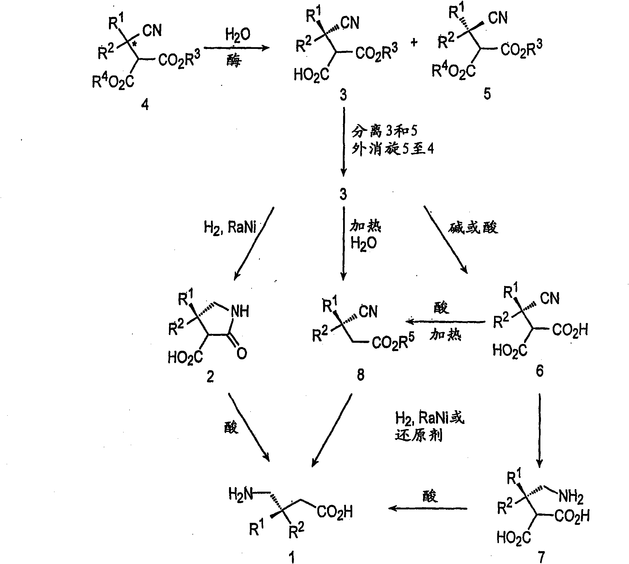 Preparation of pregabalin and related compounds