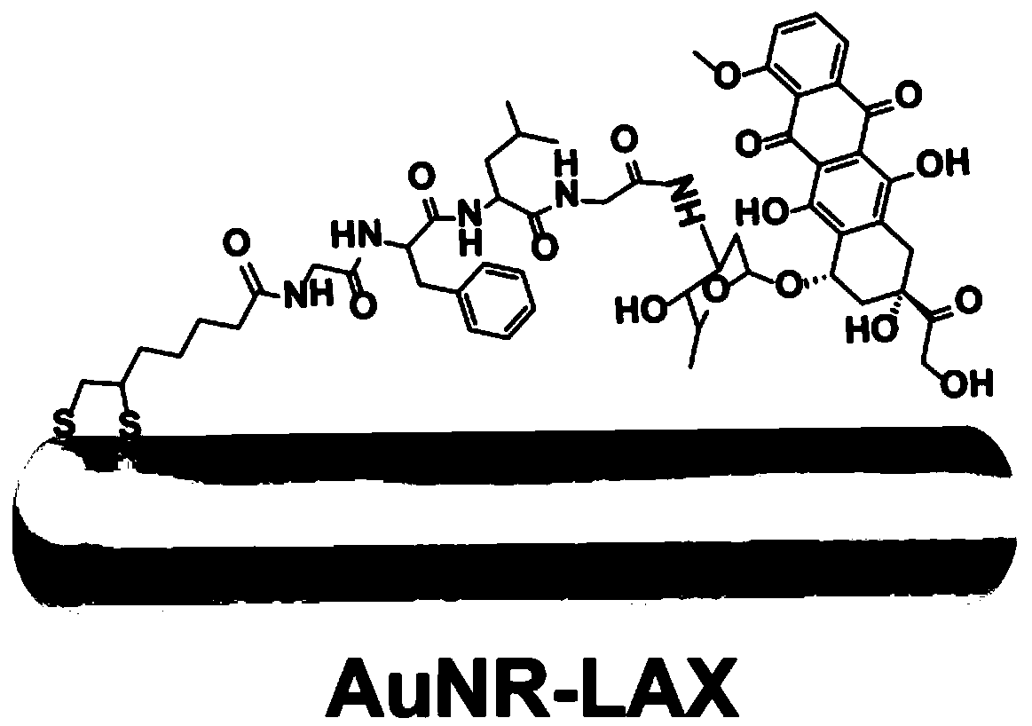 Drug administration system targeting tumor cells and preparation method and application of drug administration system