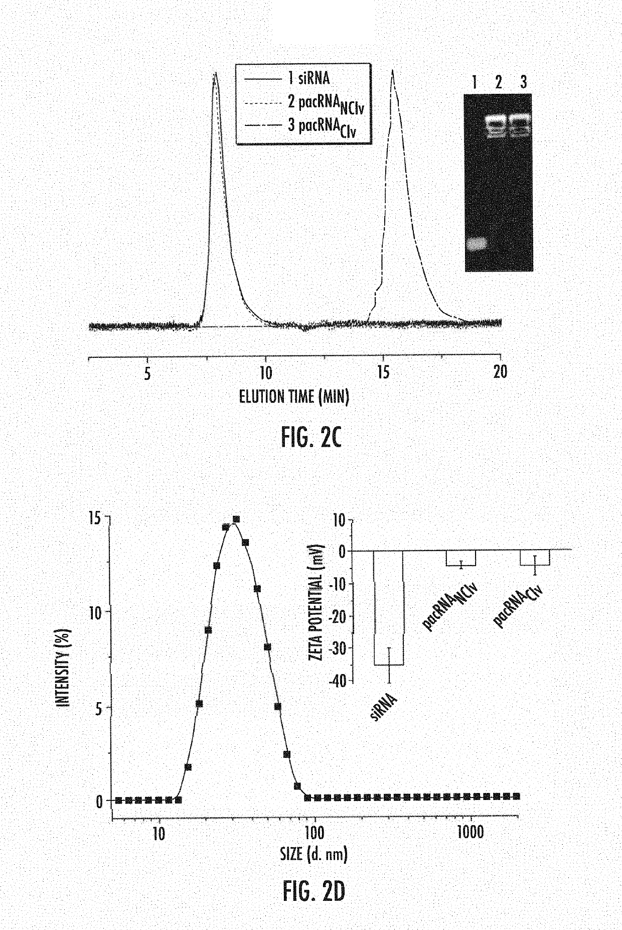 Poly(ethylene glycol) brushes for efficient RNA delivery