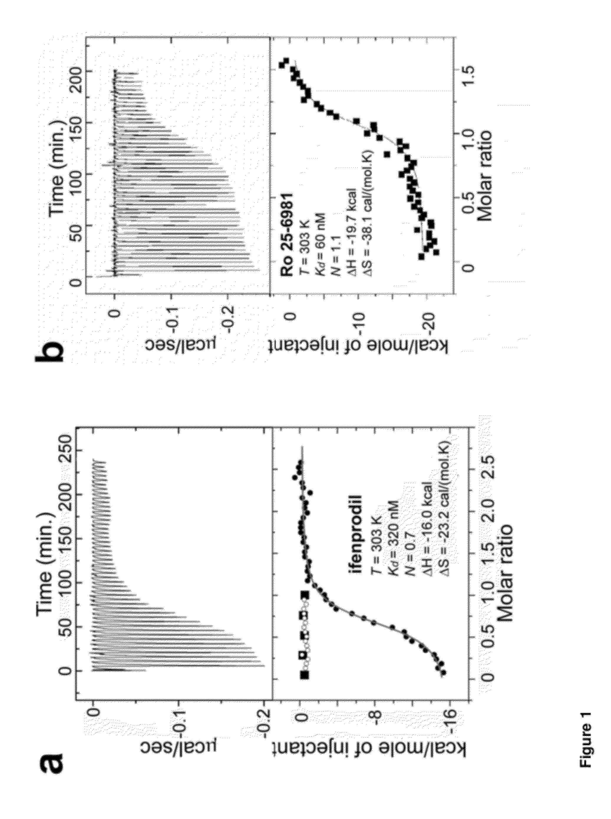 Phenylethanolamine-based NMDA receptor antagonists