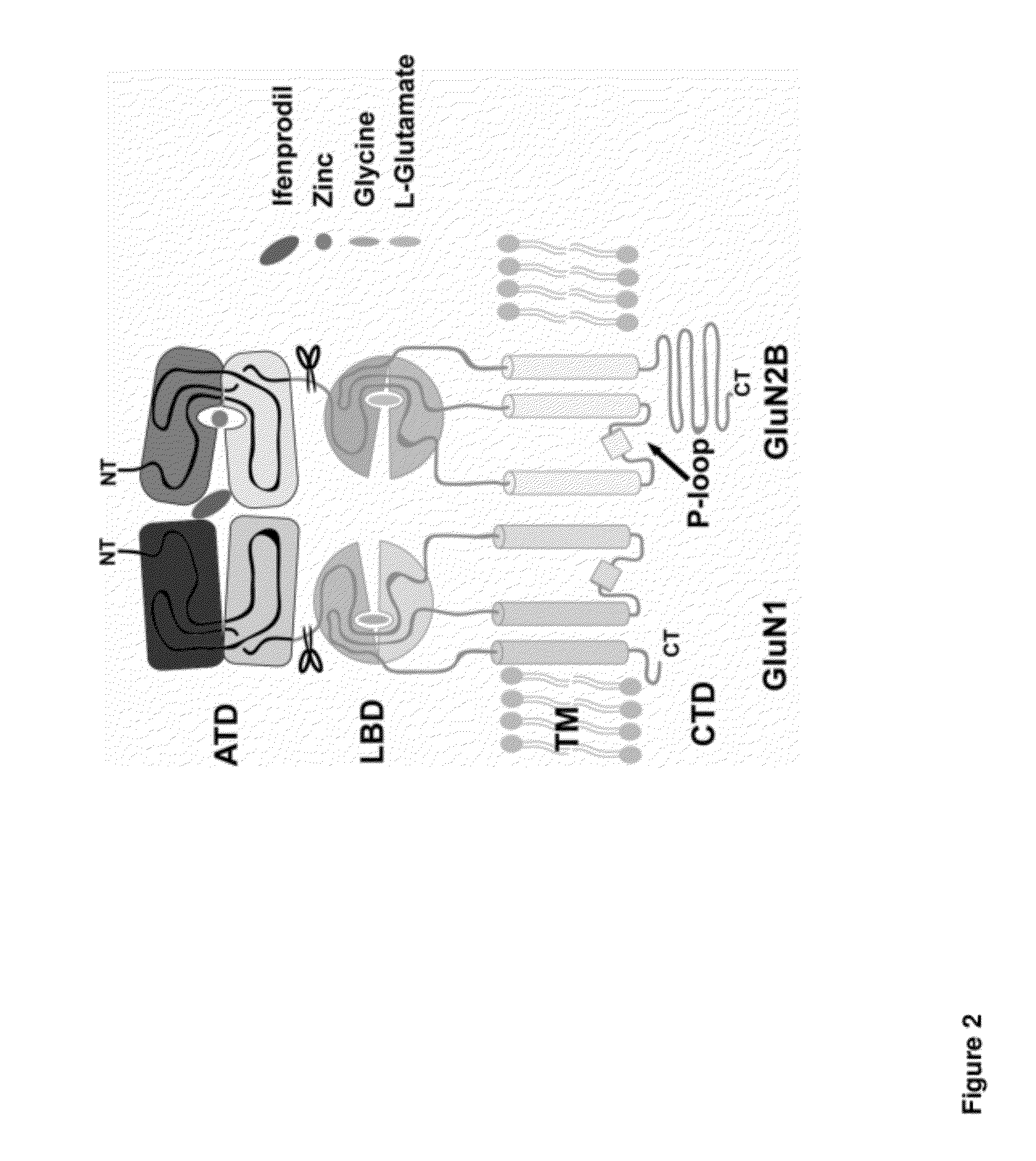 Phenylethanolamine-based NMDA receptor antagonists