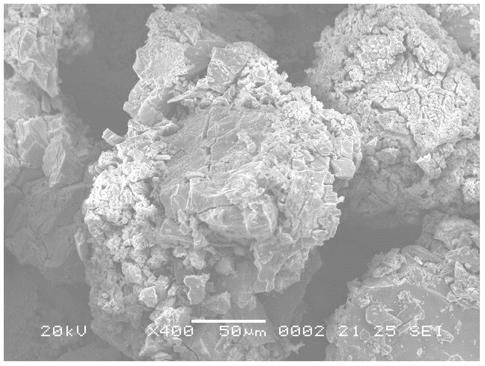 Antioxidation method of light rare earth metal hydride