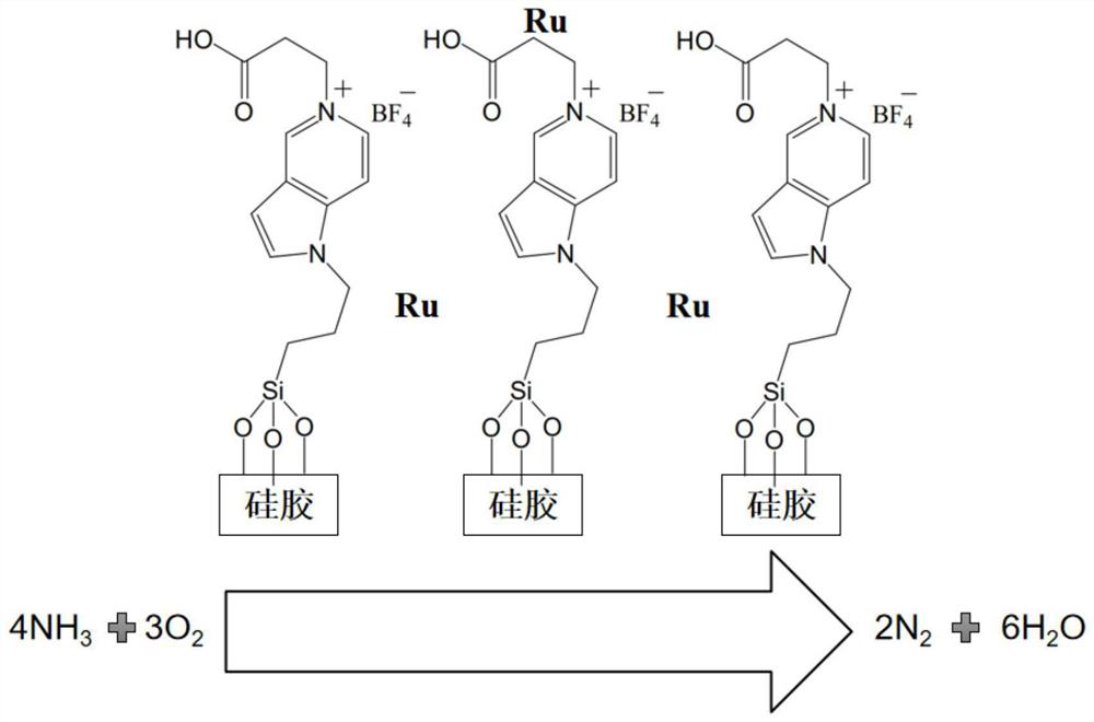 High-ammonia-nitrogen wastewater treatment system and process