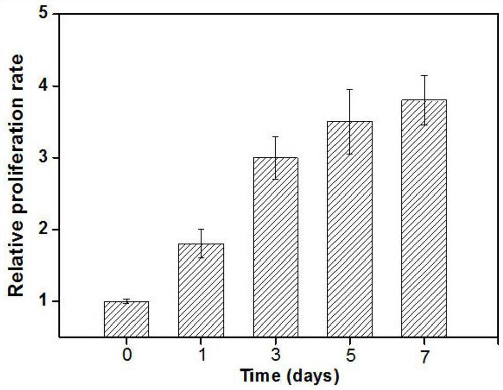 Preparation method and application of temperature-sensitive composite hydrogel preparation for endometrial repair