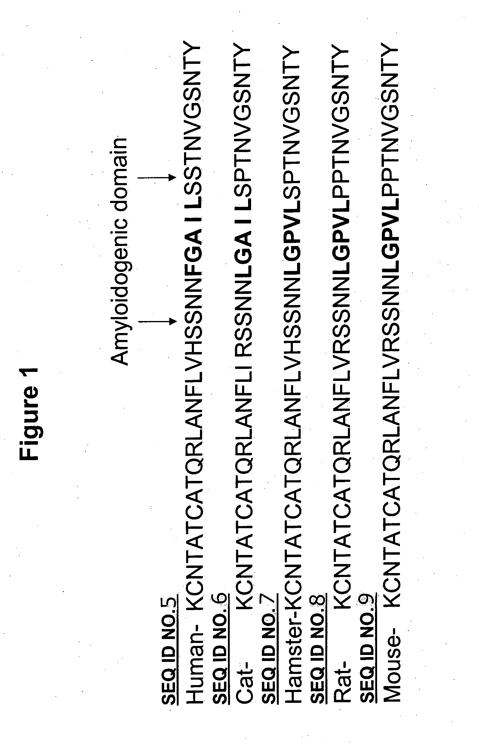 Amylin aggregation inhibitors and use thereof