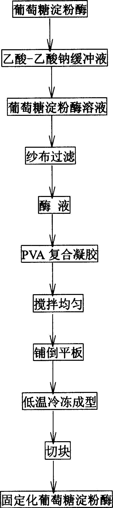 Immobilization glucose amylase products and method for immobilization of glucose amylase