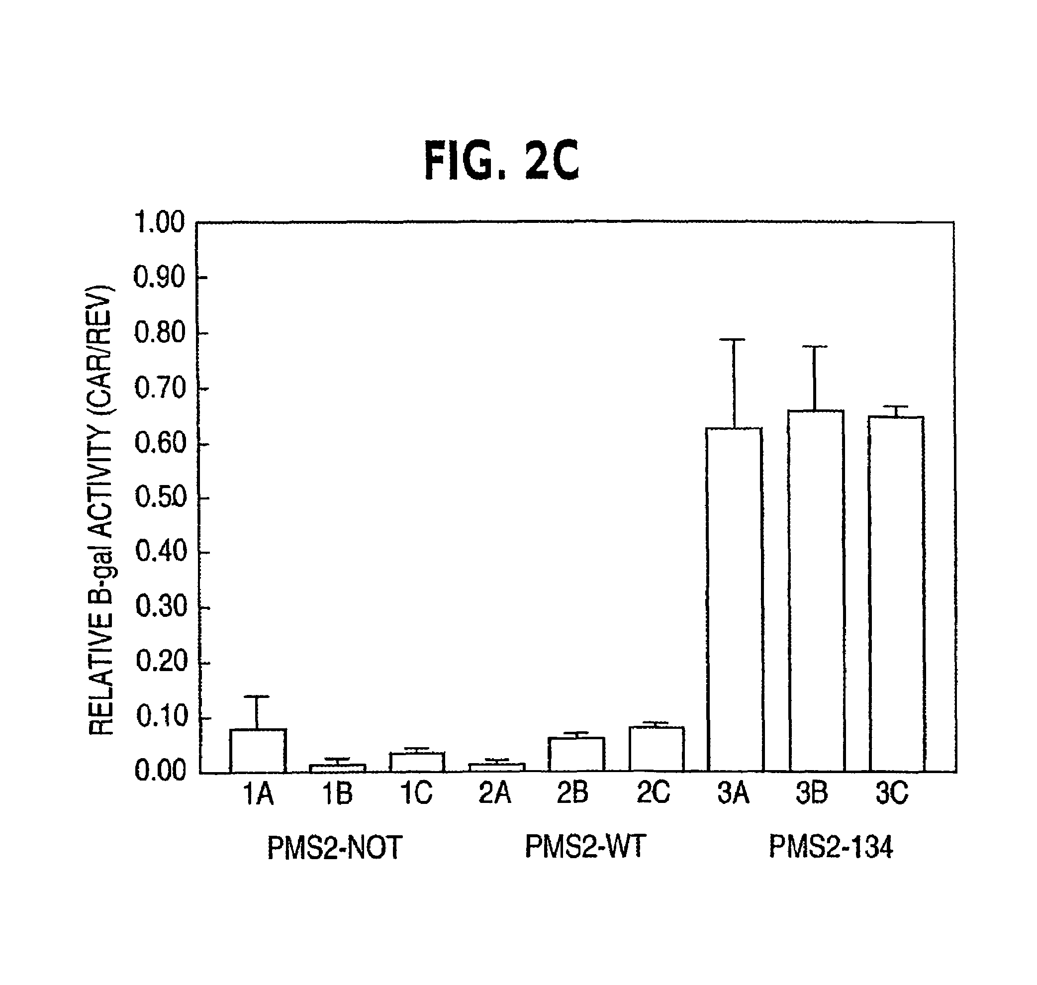 Method for generating hypermutable organisms