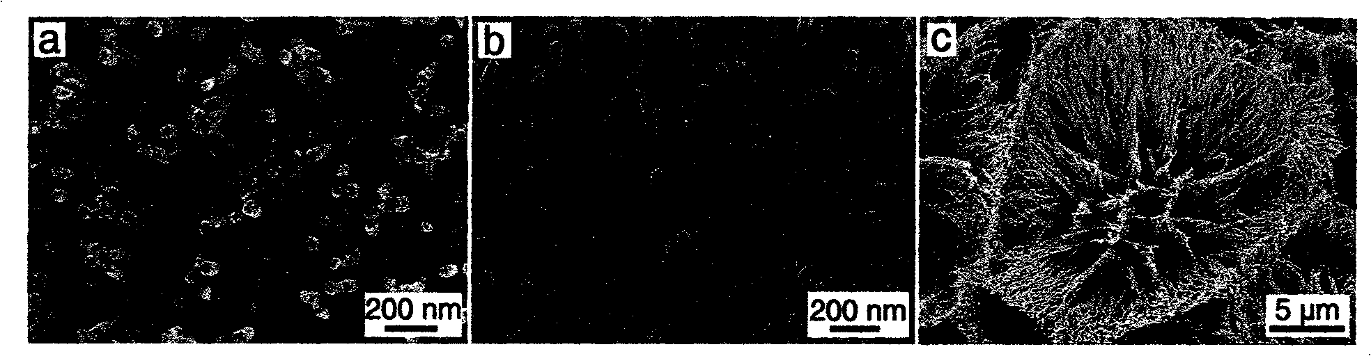 Preparation method of metal nanometer line with controllable size