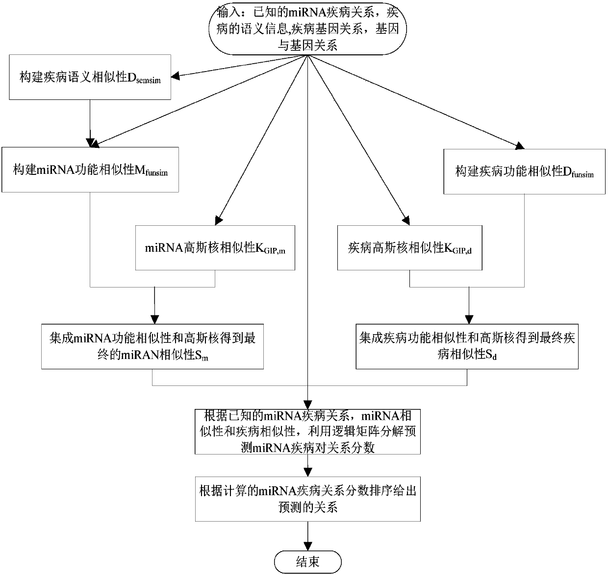 miRNA-disease association relation prediction method based on similarity and logical matrix decomposition