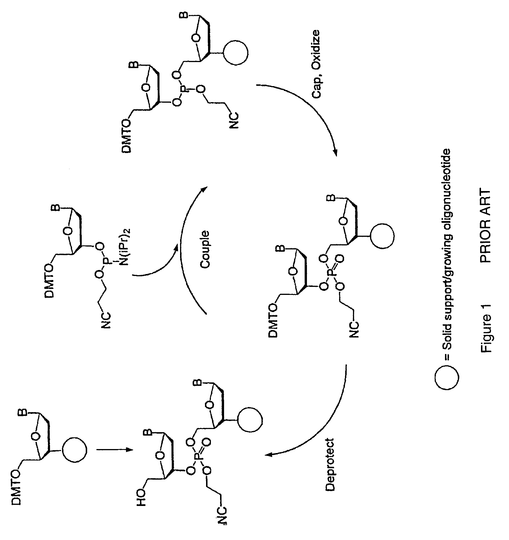 Exocyclic amine triaryl methyl protecting groups in two-step polynucleotide synthesis