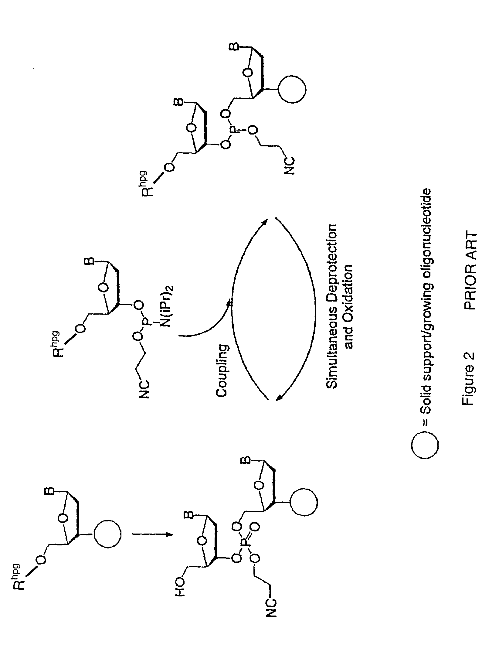 Exocyclic amine triaryl methyl protecting groups in two-step polynucleotide synthesis