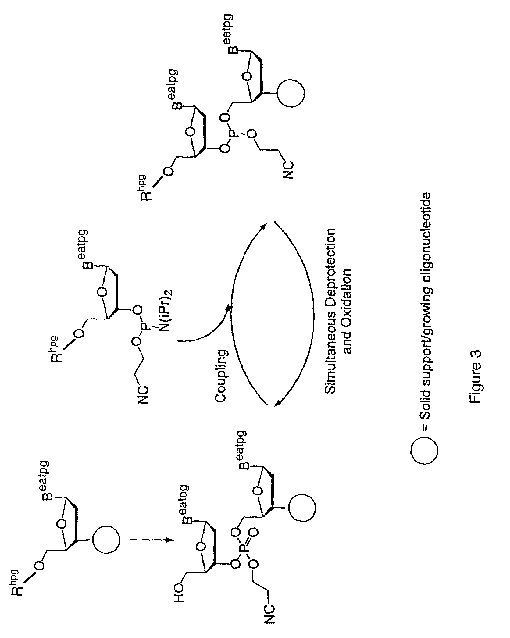 Exocyclic amine triaryl methyl protecting groups in two-step polynucleotide synthesis