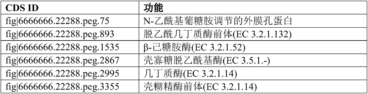 Chromobacterium subtsugae genome