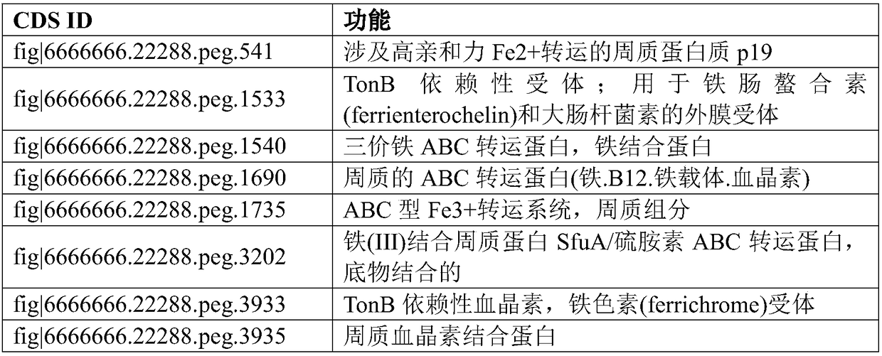 Chromobacterium subtsugae genome