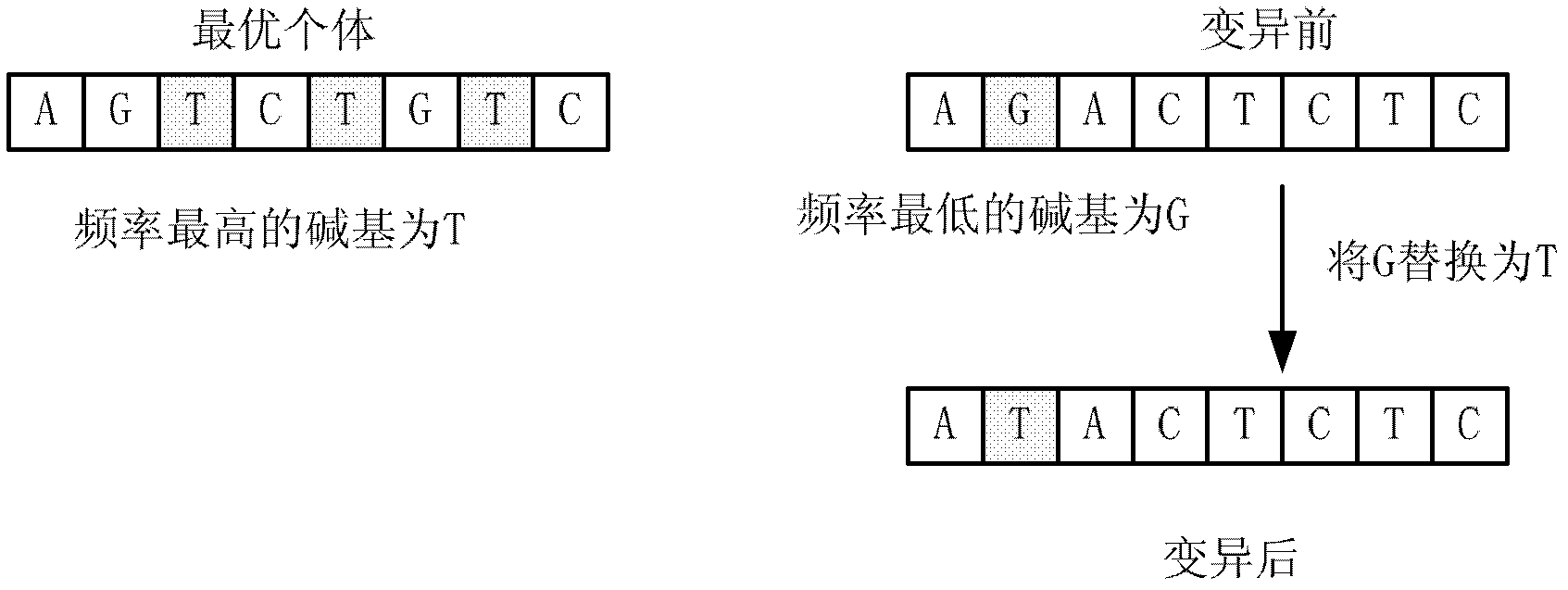 Modeling method for catalytic cracking main fractionator with varying-population-size DNA genetic algorithm