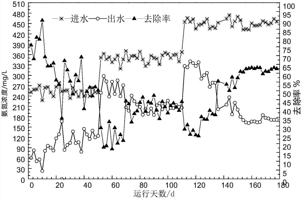 Starting method of SNAD process for treating biogas slurry of pig farm