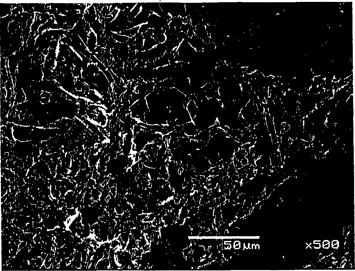 Medium for cultivation