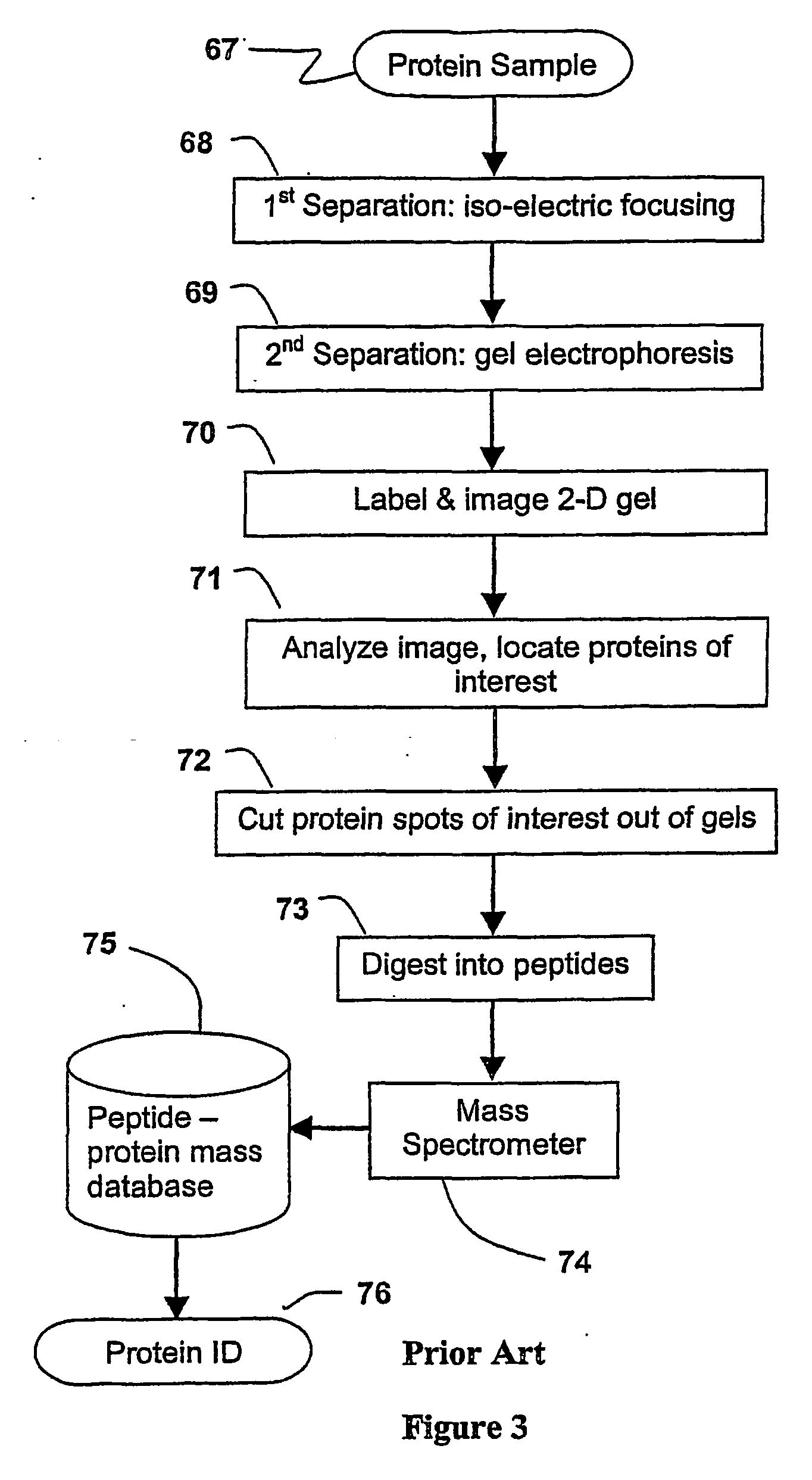 Parallel process for protein or virus separation from a sample