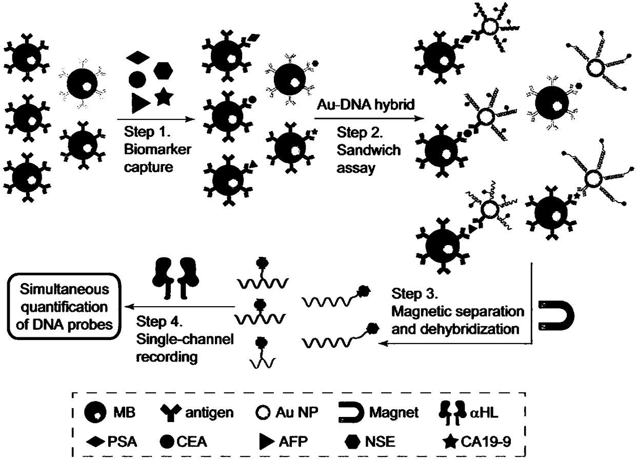 Cancer marker detection method combining DNA coding technology with nanopore technology