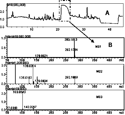 Method for screening illegal additives in health food