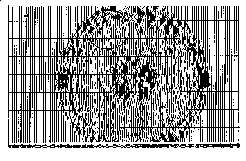 Pressing method for true 3-d seismics data linear noise