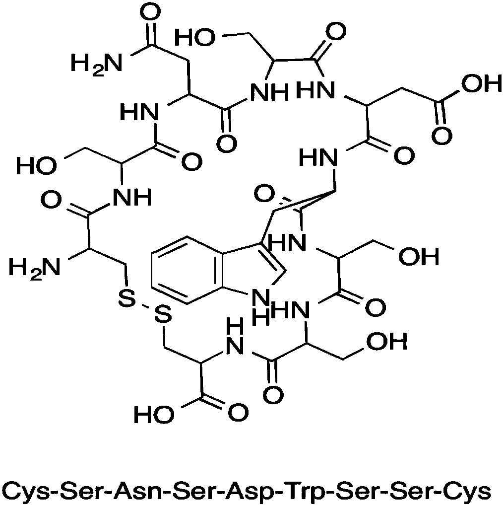 Tumor blood vessel and M1 type macrophage targeting peptide and application thereof