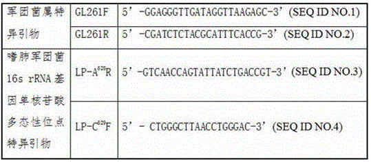 A kind of legionella rapid detection and typing kit and its detection method