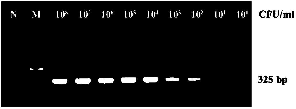 Highly specific gene fragment of Enterobacter sakazakii and its application