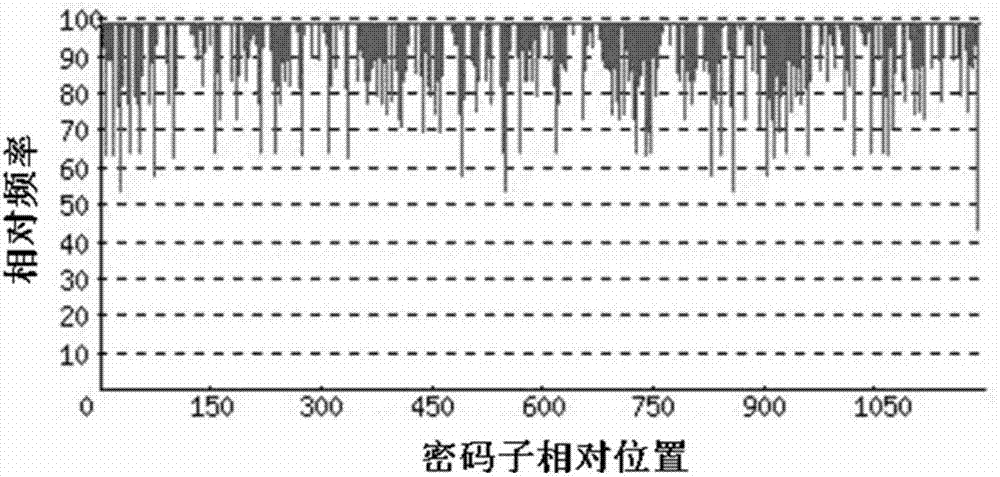 Pig IFN (interferon) gamma-Fc fusion protein as well as coding gene and expression method of pig IFN (interferon) gamma-Fc fusion protein