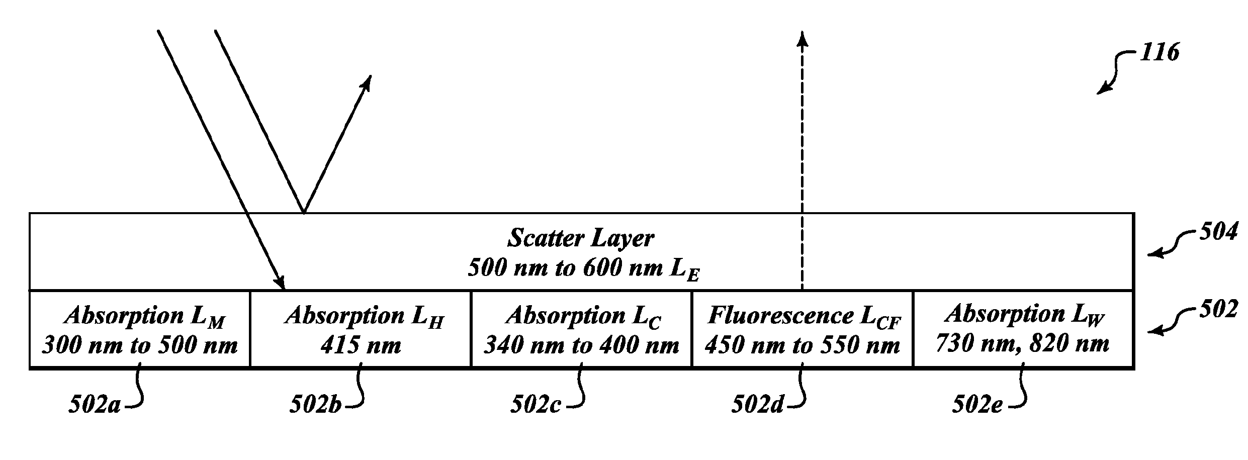 System, method and article for normalization and enhancement of tissue images