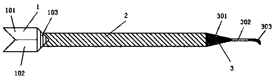 Femoral head fenestration device and using method thereof