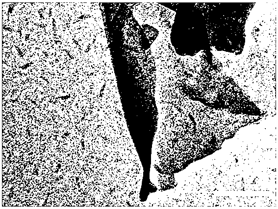 Honeycomb metal-organic framework nanosheet and preparation method thereof