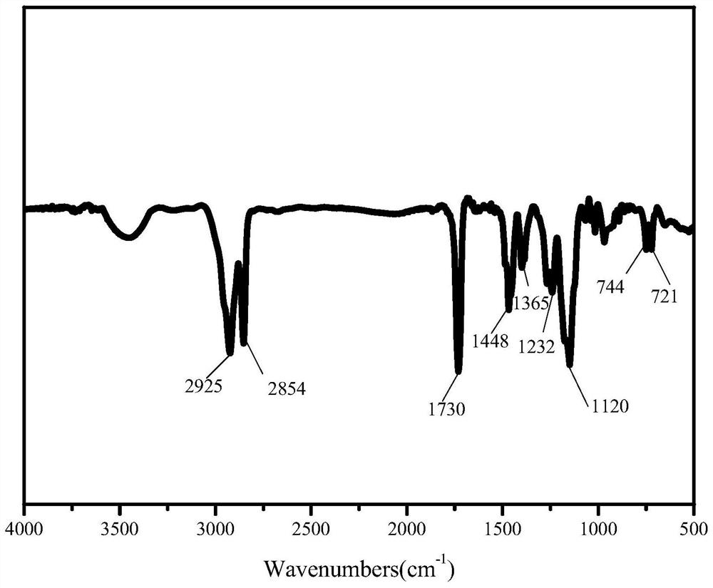 Binary polymer biodiesel pour point depressant as well as preparation method and application thereof