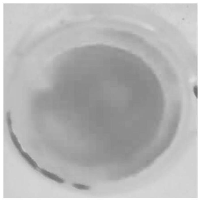 Electrolyte and metal-sulfur battery