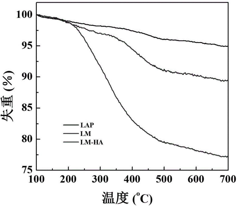 Hyaluronic acid modified hectorite amide nanoparticle and preparation and application of hyaluronic acid modified hectorite amide nanoparticle