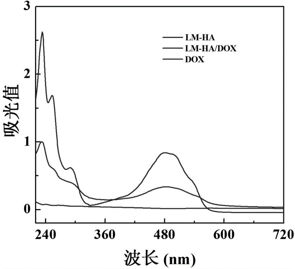 Hyaluronic acid modified hectorite amide nanoparticle and preparation and application of hyaluronic acid modified hectorite amide nanoparticle