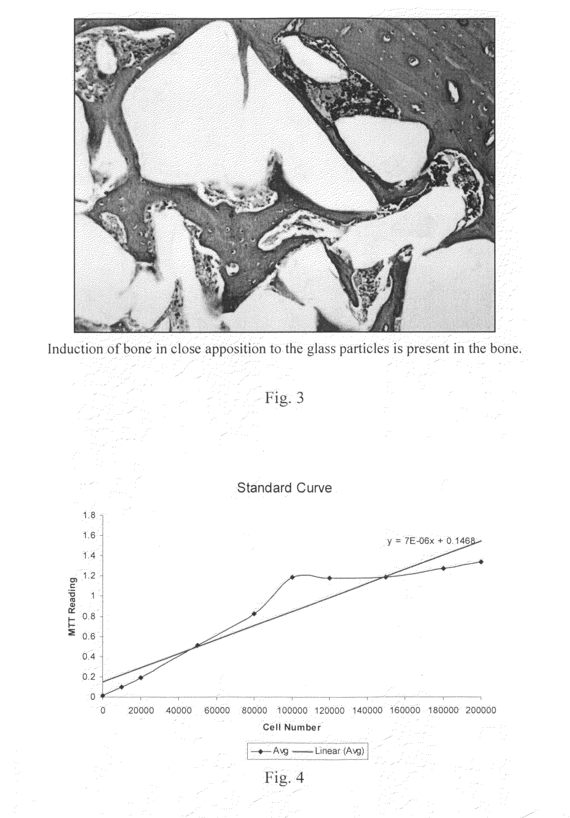 Synthetic bone graft