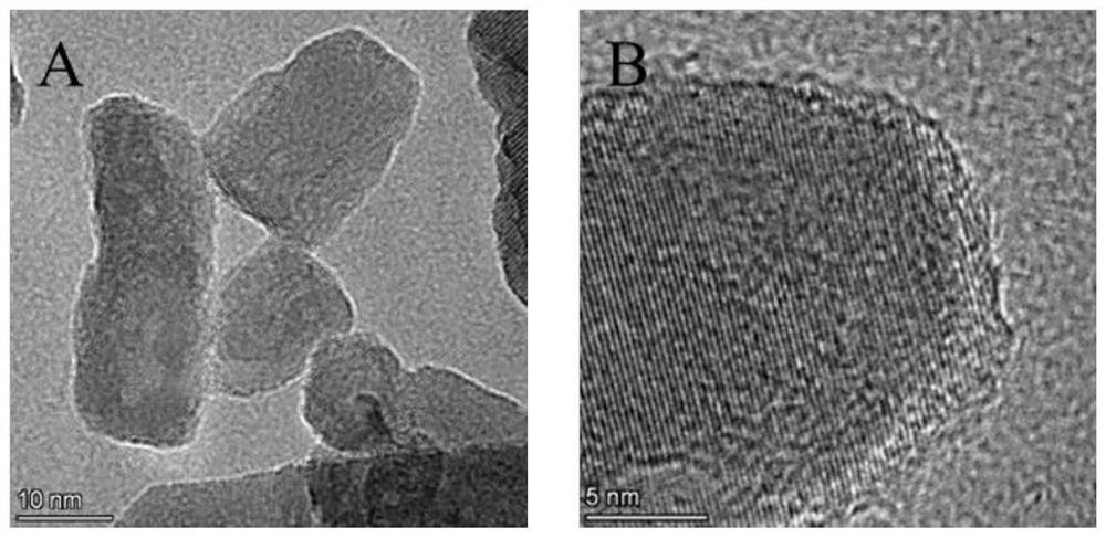 Nano-zinc oxide/collagen-based antibacterial dressing and preparation method thereof