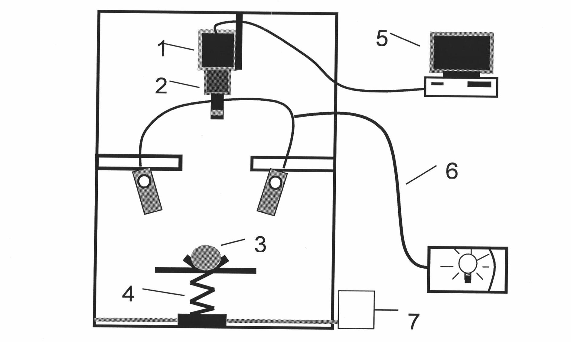 Grain moisture content detecting method based on hyperspectral image technology