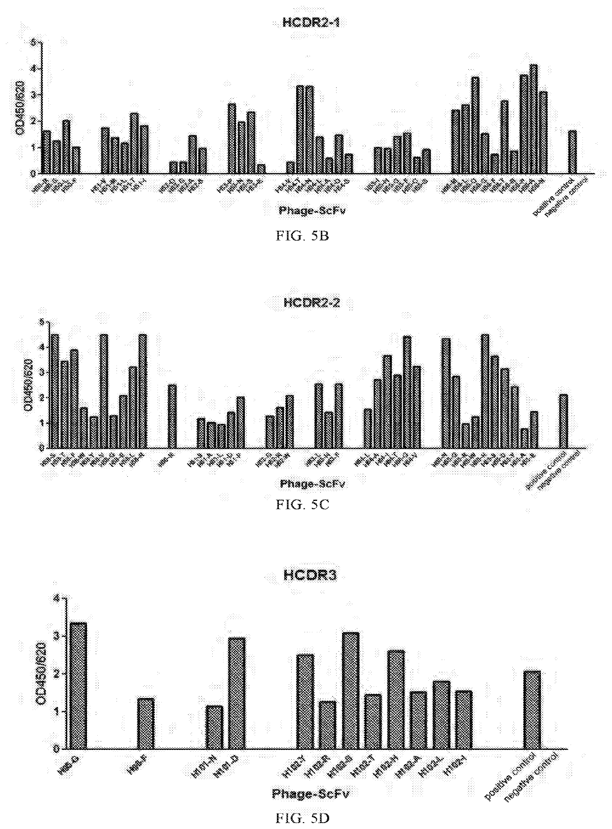 Antibody against hepatitis b surface antigen and use thereof