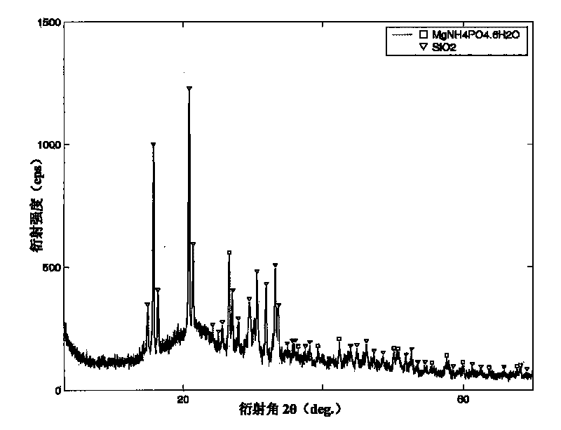 Fertilizer rich in nitrogen and phosphorus and preparation method thereof