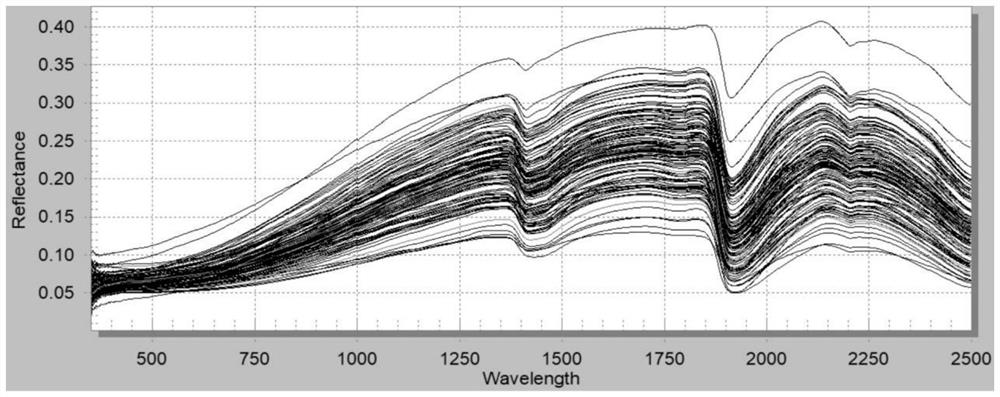 Soil health investigation and monitoring method based on spectrum