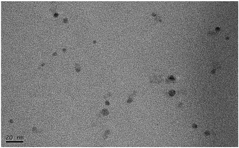 Preparation method and application of boron and nitrogen-doped green fluorescent carbon dots