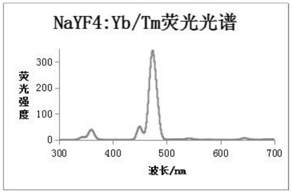 A Latent Fingerprint Visualization and Chemical Residue Detection Method Based on Upconversion Nanoparticles