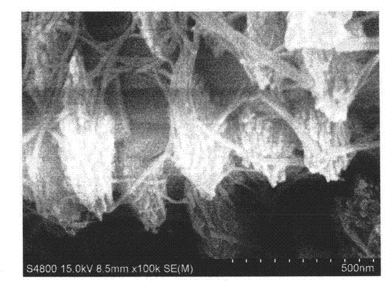 Hydrothermal synthesis method for nanowire/stick-like morphology manganese lithium silicate