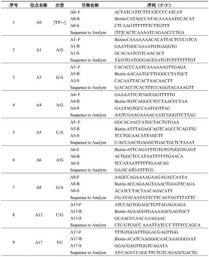 Cucumber variety identification method based on SNP markers