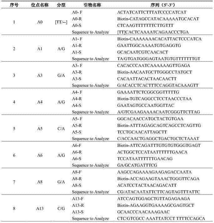 Cucumber variety identification method based on SNP markers