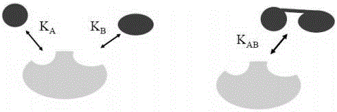 Drug conjugate with multiple targeting ligands having cell endocytosis mediating function