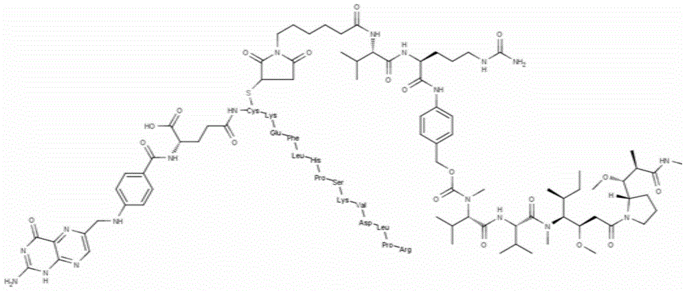 Drug conjugate with multiple targeting ligands having cell endocytosis mediating function